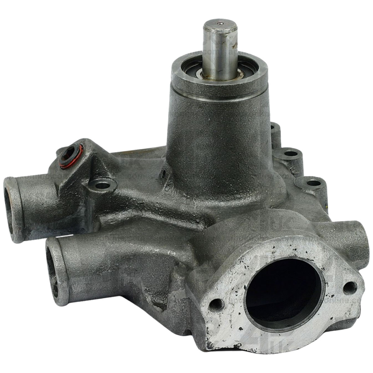 Water Pump + Gaskets for Massey Ferguson 295, 298, 595, 698, 1004, 1080 Tractors