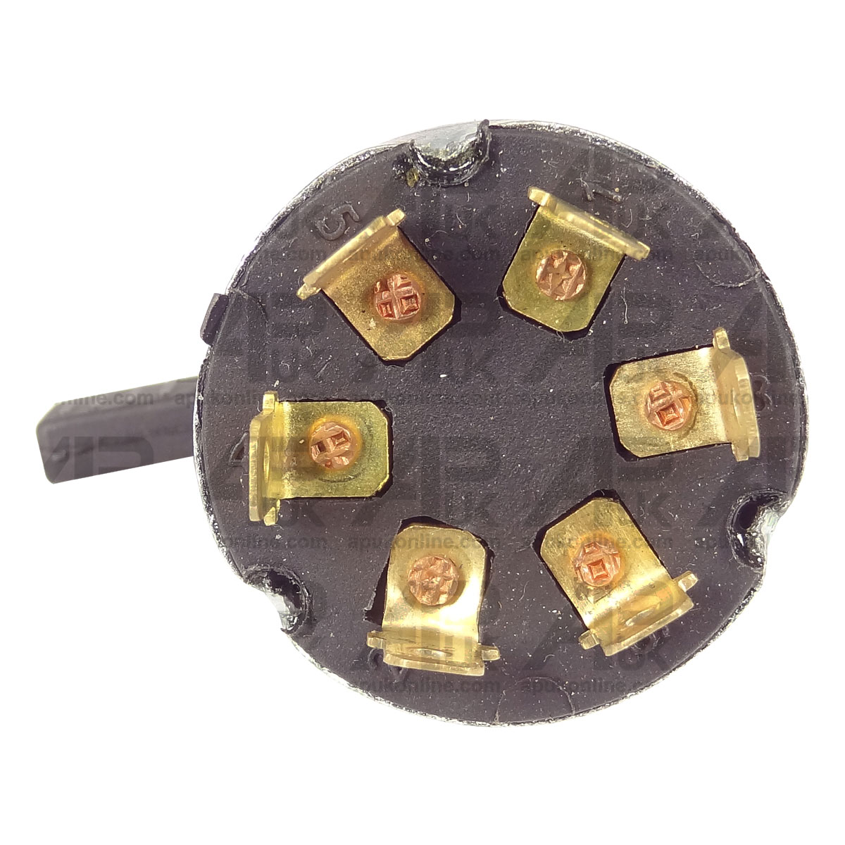 19107_5.jpg