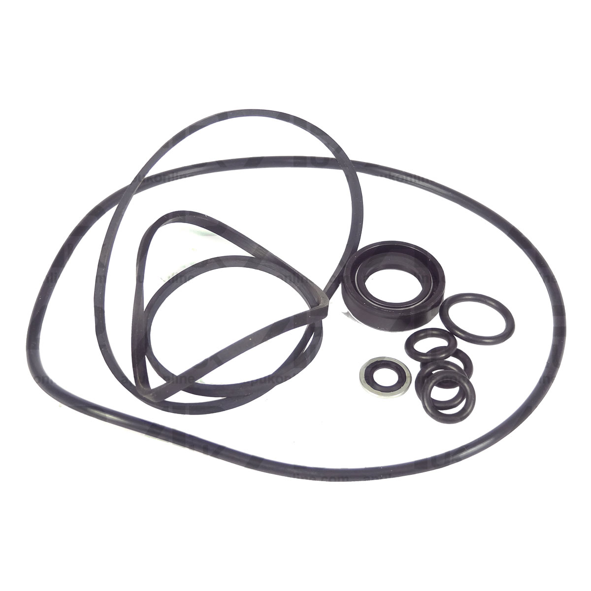 Power Steering Pump Seal Kit for David Brown 1594 1690 1690T 1694 Tractor