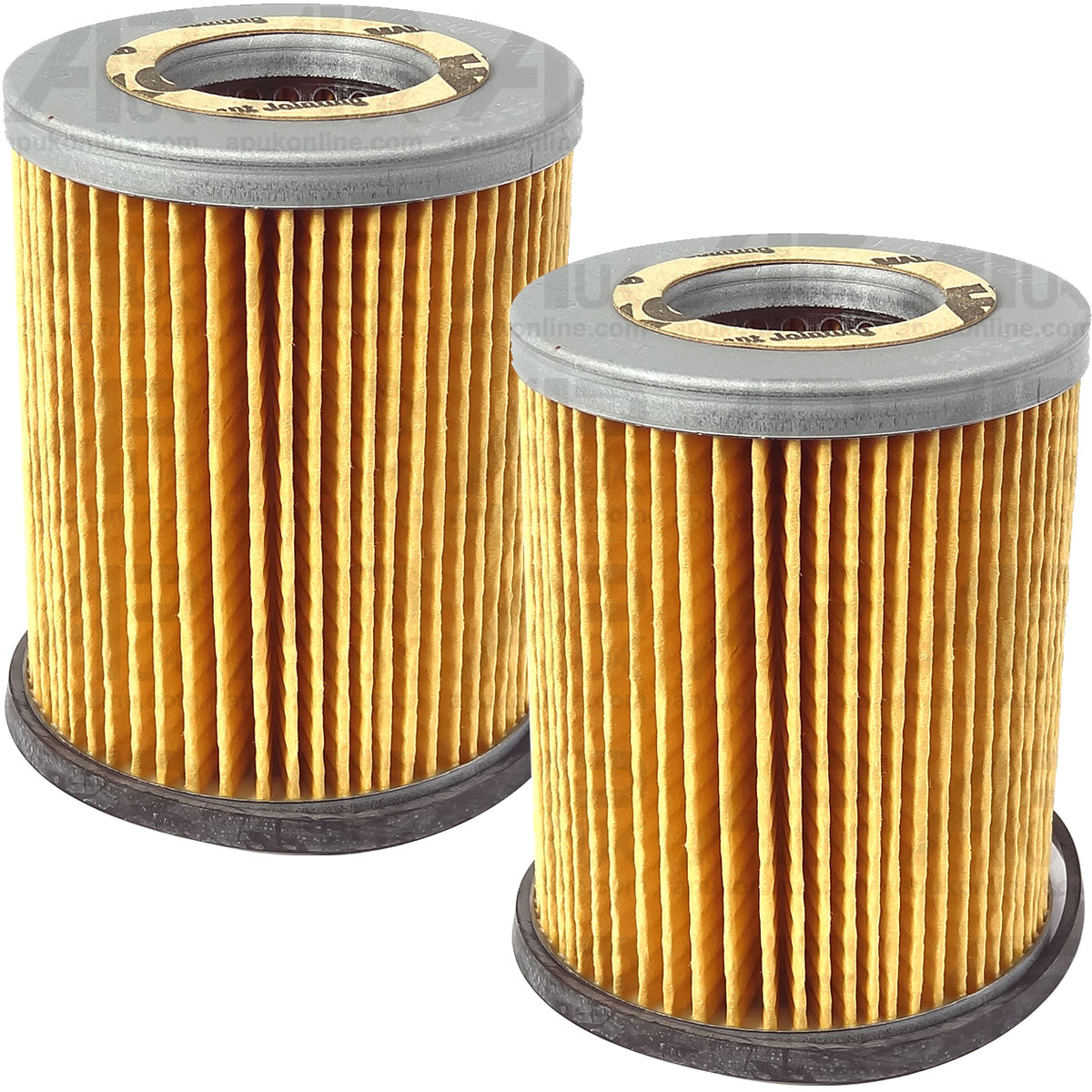 2x Fleetguard Fuel Filter for Aston Martin Lagonda V8 Zagato MG MGB GT Car Coupe