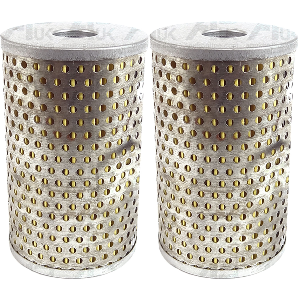 2x Oil Filter Element for Massey Ferguson 35 X 65 133 135 165 FE35 TO35 Tractor