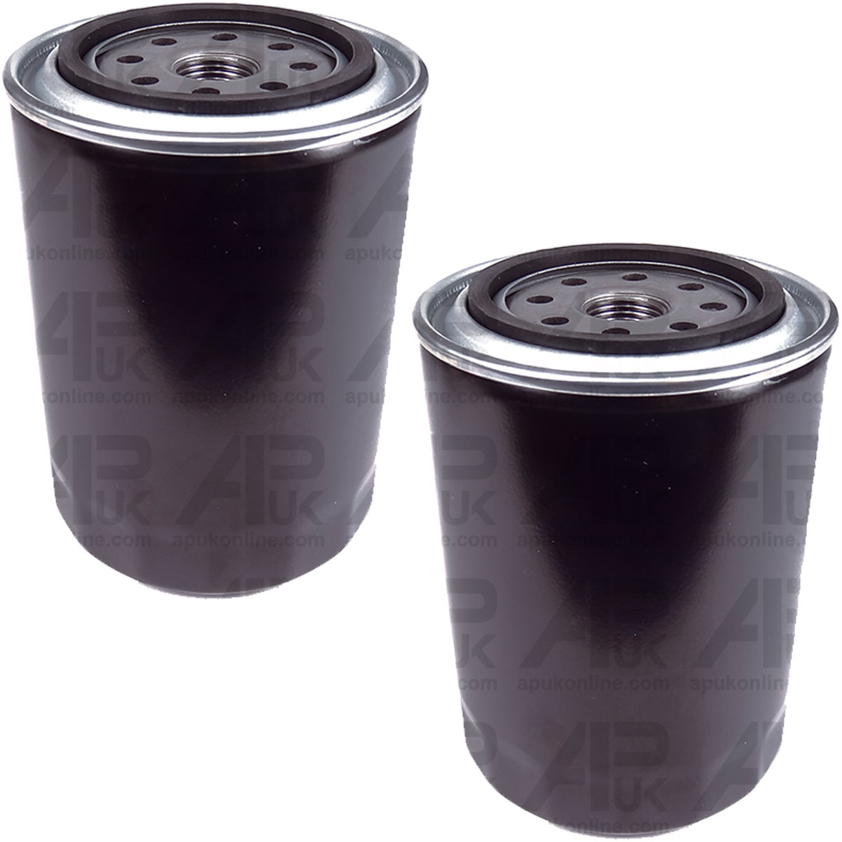 2x Oil Filters for Massey Ferguson 165 168 174 175 245 265 4255 6480 Tractor